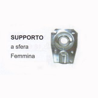 08 supporto