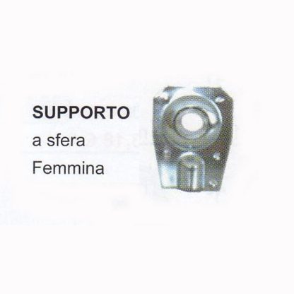 08 supporto