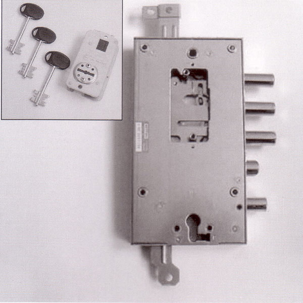 506 Ricambio serratura porta blindata Torterolo e Re. Dimensioni mm 136×254