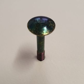 1681 Bullone testa tonda in ottone tropicalizzato